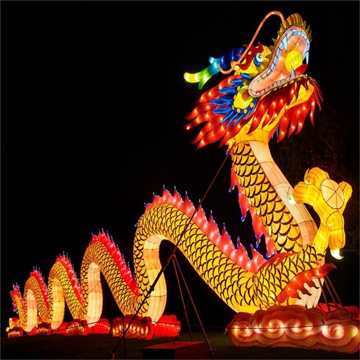 Chinese Traditional Dragon Lantern